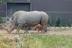 1_Granby-Zoo-21