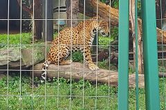 Granby-Zoo-14