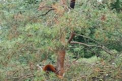 Granby-Zoo-26
