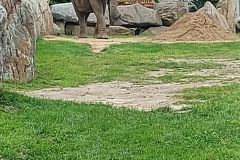 Granby-Zoo-36