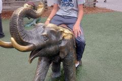 Granby-Zoo-51