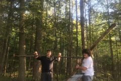 Johnville-Bog-1